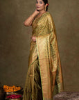 Olive Paisley Jamewar Tanchoi Banarasi Silk Saree
