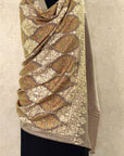 Beige Embroidered Pashmina Shawl