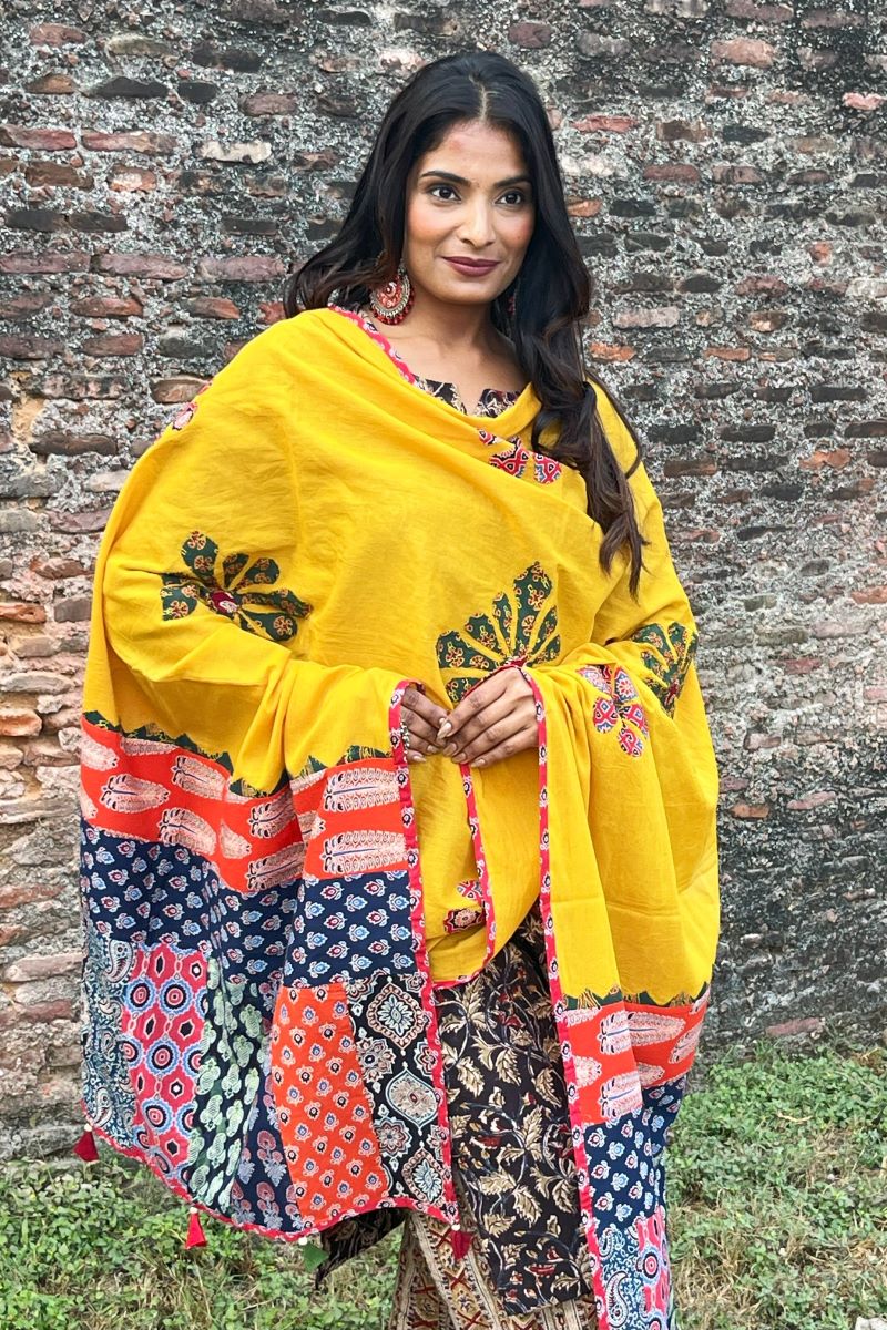 𓂃ོ⋆☀︎𓂃ᨒོ Ajrakh, Applique & Kantha Embroidered Dupatta ~ Olive Green & Yellow 𑁍ࠬ