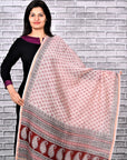 ivory-bagh-print-Chanderi-silk-dupatta