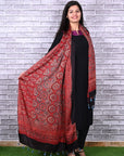 Red String Paisley Modal Silk Ajrakh Dupatta