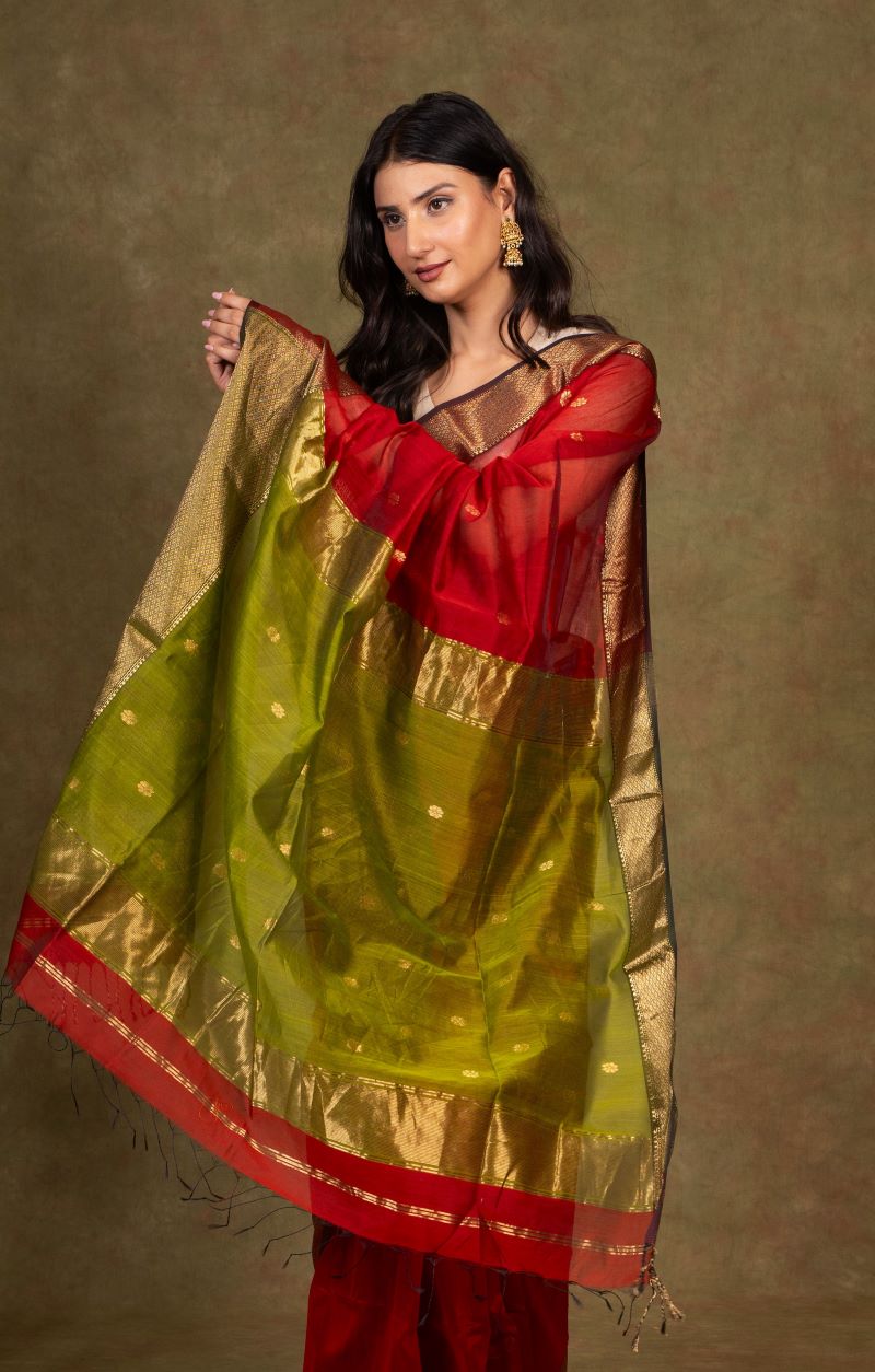 Zari Border Maheshwari Cotton Silk Saree