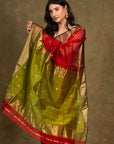 Zari Border Maheshwari Cotton Silk Saree