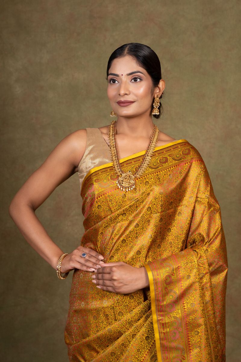 Jamewar Tanchoi Banarasi Silk Saree