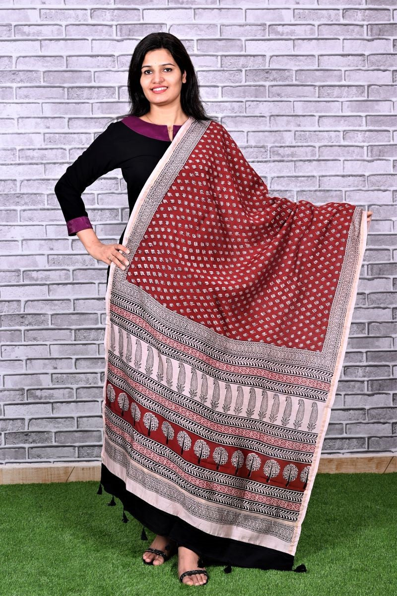 bagh-print-Chanderi-silk-dupatta