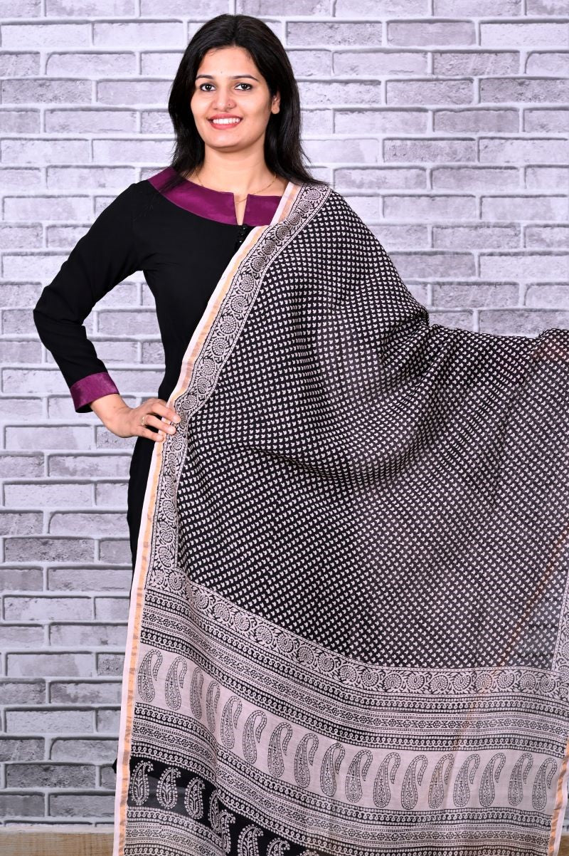 Black Paisley Bagh Print Chanderi Silk Dupatta