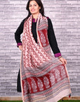 bagh-print-dupatta-chanderi-silk-dupatta