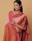 banarasi-georgette-silk-sarees