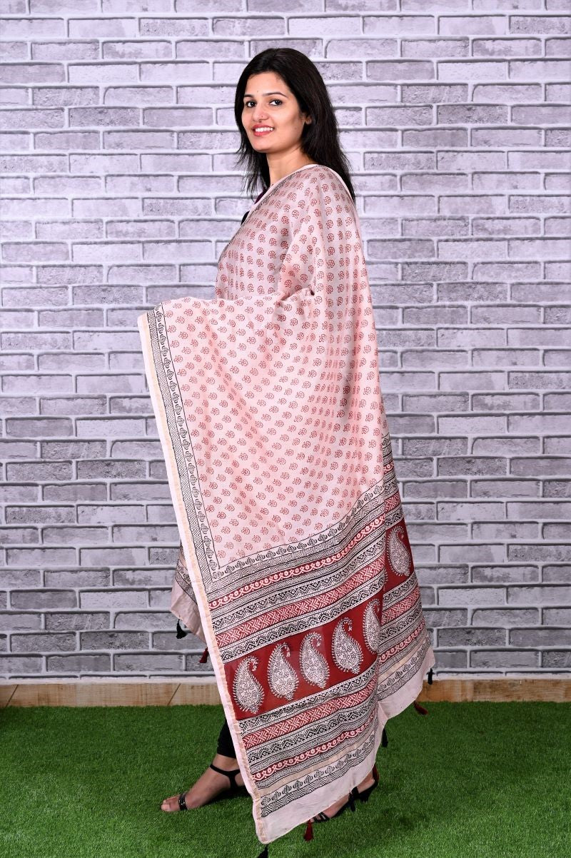 bagh-print-Chanderi-silk-dupatta